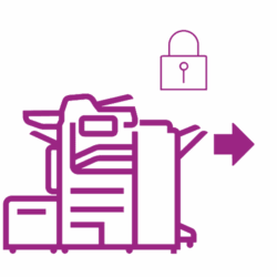 Altalink graphic violet
